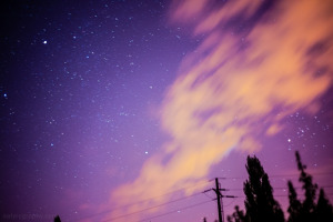 nightsky_01_web-1