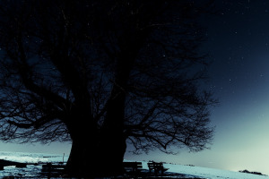 nightsky_18-februar-2013_01_web