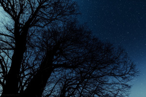 nightsky_18-februar-2013_04_web