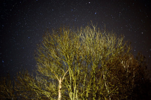 nightsky_251112_06