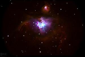 Orion Nebula