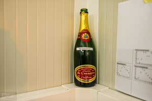 Cern_12Jun2014_066_w