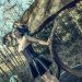 Fraenzi_240212_04