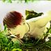 LadyInViolett_270610_08