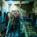 LaeryX_230514_05