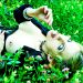 LeFay_060609_04