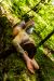 Roxane_Raven_20210509_014w