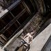 aviva_rocks_130513_45