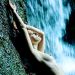psychodoll_061012_22