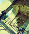 Diandra_20210710__0078w