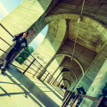Diandra_20210710__0078w