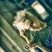LadyInViolett_20160925_05