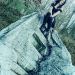 black_alice_250214_01