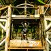skold_271213_08