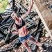nadia_b_280813_22