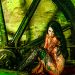 nemesis_280913_22