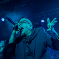 Lame_Immortelle_20180302_088_web