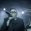 Lame_Immortelle_20180302_090_web