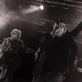 Lame_Immortelle_20180302_118_web