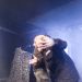 nachtmahr__a7ie_gothwerk_sursee_22-februar-2014_102_web
