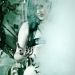 Bambee_16042011_07