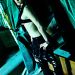 Bambee_16042011_16
