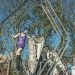 Fraenzi_240212_03