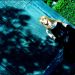 Melodia_240510_11