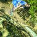 Miuki_300314_42