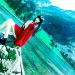crashpoppy_140812_05