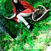 crashpoppy_140812_13