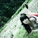 crashpoppy_140812_20