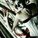 cynara_cynnamon_060711_04