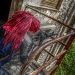 sheeria_290513_10