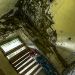 sheeria_290513_20